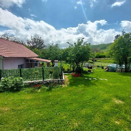 Village Flower Ivy Montenegro Nikšić Exteriér fotografie